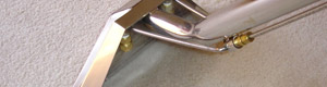 Carpet Cleaning